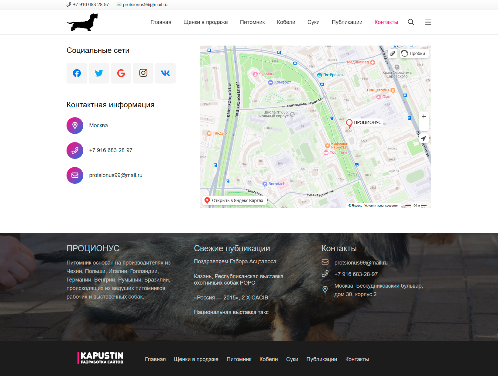 Питомник шесткошерстных такс Проционус Марии Загрядской